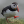 Bruce_Gudmundsson